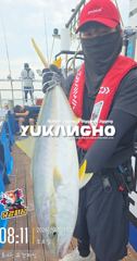 [부산] [부산 유강피싱] 유강호 부산권 부시리 파핑 지깅 조황입니다.