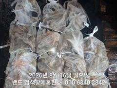 15일 홈런호 야간문어 마무리 언제나 굿조황 입니다