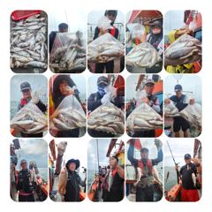 조황정보 - 8윌16일짱구투호 백조기조황 - 영흥도 짱구낚시