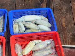 무늬팁런 우천속 초보 조사님들의 굿 조항