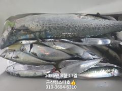 8/17야간고등어(예약가능)■군산킹스타호 ■에서~