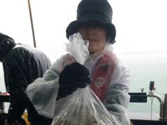 [사천] 돌문어출조 다녀왔습니다 팍팍 내일도 나갑니다