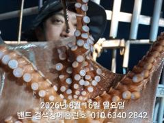8월16일 군산 홈런호 야간 문어 출조 하였습니다!여기저기 히트소리... 실시간 구경들 하세요.