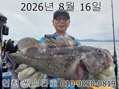 인천 썬스타호 8월 15일!! 우럭라이트 낚시대회 조황사진입니다~^.^