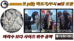 루어파이터호 ㄱ-8/15 토 [9물] 백조기/부서 13명 조항 입니다.