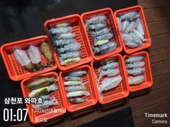 팁런 조황입니다