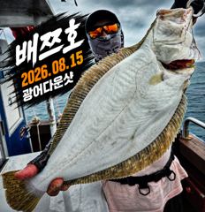 [배쯔호] 8월15일 광어다운샷