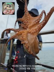 여수 짱구호  8월15일(토)k급 문어 조황