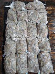 8월16일 굿 대박 조황..장원27수 군산홈런호 야간 문어 마무리 조황 입니다.조사님들 수고 하셨습니다!