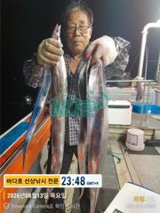 13일출조 왕갈치조황