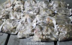 대호피싱 야간 문어낚시 대박치고 왔어요