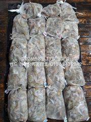 8월16일 굿 대박 조황..장원27수 군산홈런호 야간 문어 마무리 조황 입니다.조사님들 수고 하셨습니다!
