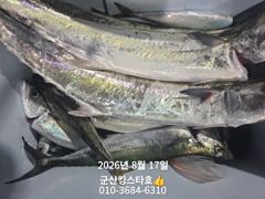 군산킹스타호(8/16)야간고등어 마무리(8/17출조모집~)