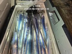 뉴 태진호  먼바다갈치 오늘오후3시 번출모집!!!!