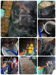 [포항] 돌문어!! 쫙쫙뜯으러! 오늘 모십니다