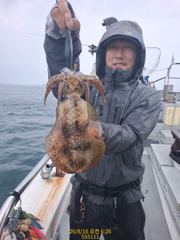 무늬오징어 우럭