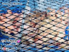 주말 문어 조황입니다.~~