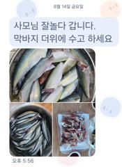 [마산] 마산 원전 주간 선상낚시터 조황