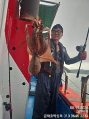 묵직한  야간밤문어  쉴 새 없이 즐거운 시간~오늘도  선방