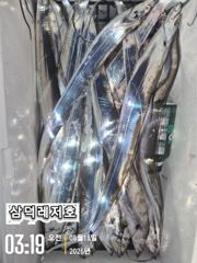 [통영] [텐빈]씨알끝장,기본3~4지 마리수까지(수요일부터 출항)