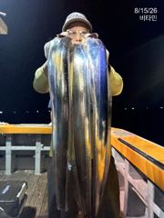 [진해] 먼바다갈치(16석,18석) 씨알 좋은데 마릿수가...내일,수,목…