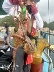 내일 돌문어 출조합니다 자리여유 많습니다 주말도 자리여유