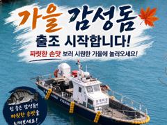 19일(수)가을마릿수감성돔출조합니다