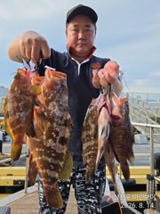 [사천] 삼천포 마린보이 8. 18. 화요일 부터 붉바리 외수질/야간문어…