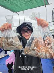 [여수,광양] 260817 여수돌문어조황