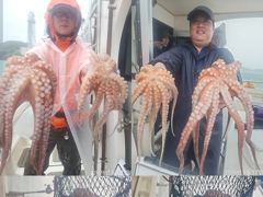 [진해] 문어,1500,1300,1200,1100외중치,와르르,,(예약가…