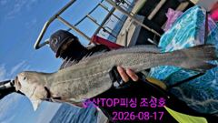 8월17일! 대물민어사냥!    싸이즈굿굿!
