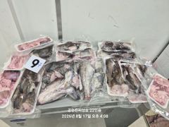 2026년8월17일 대구라바 쿨러조황!!