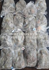 8월17일 굿조황 군산 홈런호 야간 문어 15명 조사님들 마무리 조황 입니다 수고 많으셨습니다.