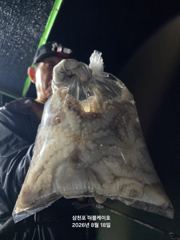 [먹물조황]삼천포문어낚시조황!주간반,야간반매일출조!