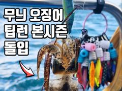 [ 무늬 팁런 ] 8월18일 화요일 정상 출항합니다.