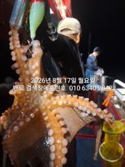 8월17일 군산 홈런호 야간 문어 15명 조사님들과 출항 하였습니다.준수한 사이즈 문어들 올라와 줍니다. 실시간 구경들 하세요.