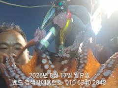 [군산] 8월17일 굿조황 군산 홈런호 야간 문어 15명 조사님들 마무리…