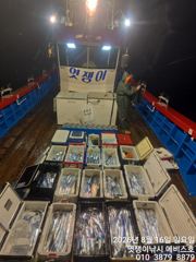 [진해] 준내만갈치~빵좋고대치들까지 쿨러 채우기~오늘부터 예약가능합니다