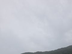 연일 6짜,5짜참돔들 떼고기~!!! 떼거리 파티!!! 이런날이 다 있나요?? (수요일 내일 예약가능)초초초대박 조황~!!