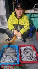 스페셜드림선단 8월18일 입항 무늬팁런 조황입니다