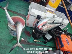 8/18(화) 테크호 - 오전 대삼치 폭발 - (오후, 수,목,금~모집)