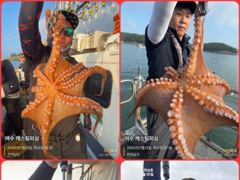 여수캐스팅피싱호 >  [ 늘 한결같은 캐스팅호! 문어 출조 합니다!! ] / 내일출조합니다!!