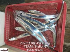 8월 18일 갈치 외쥴 출조합니다. 7자리 여유~~