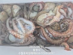 (수월호피싱레져)사량권 돌문어 키로급 쩍쩍달라붙네요.손맛보러오셔요.