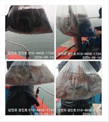 [광진호]문어[선비할인]주말,평일,자리여유 예약중~