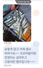 [마산] 마산 원전 선상낚시터 주간 조황