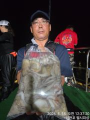 [사천] 우중속 야문입니다