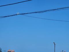 홍원항 전어꽃게축제 안내입니다.