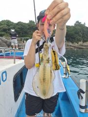 [통영] 카이로호!팁런조황 수욜 국도로 팁런갑니다