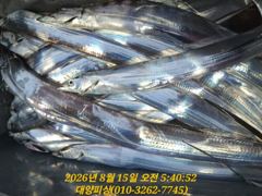 14일 텐빈 소식 씨알이 좋아요
